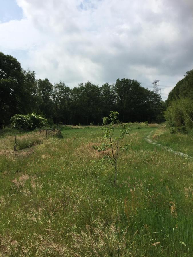 De Distelweide Panzió Holsloot Kültér fotó