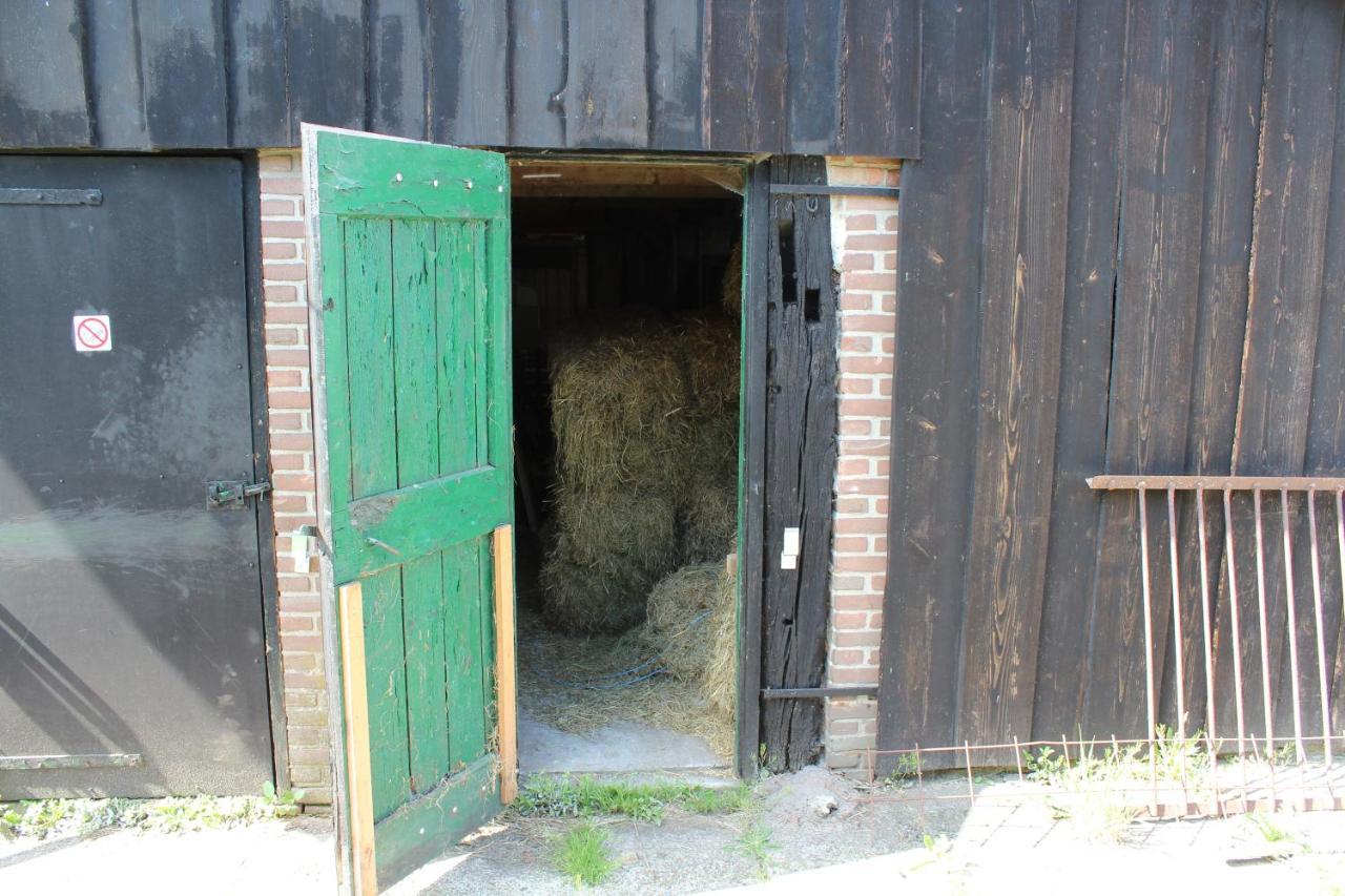 De Distelweide Panzió Holsloot Kültér fotó