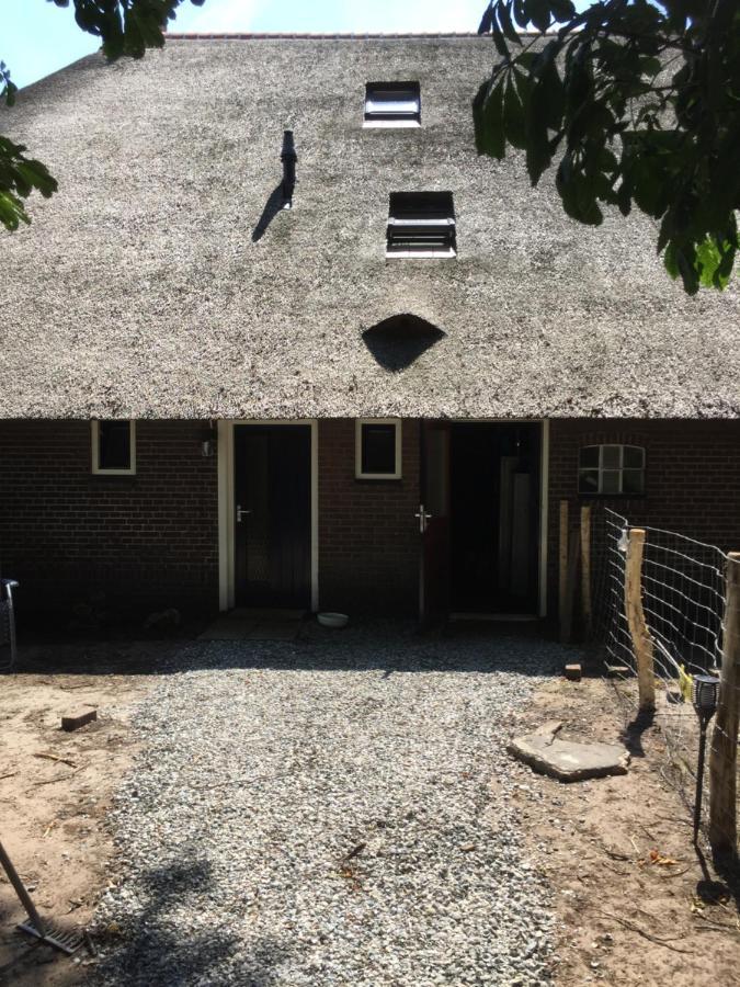 De Distelweide Panzió Holsloot Kültér fotó