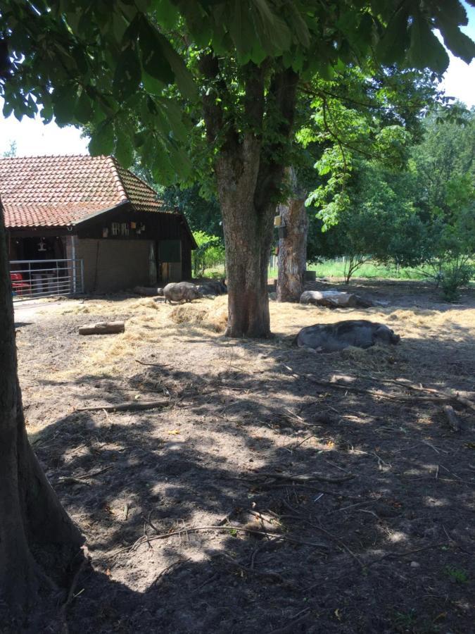 De Distelweide Panzió Holsloot Kültér fotó